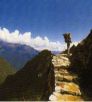 inca trail hikes